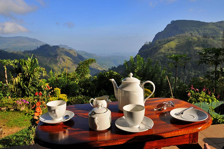 Afternoon tea in the highlands of Sri Lanka