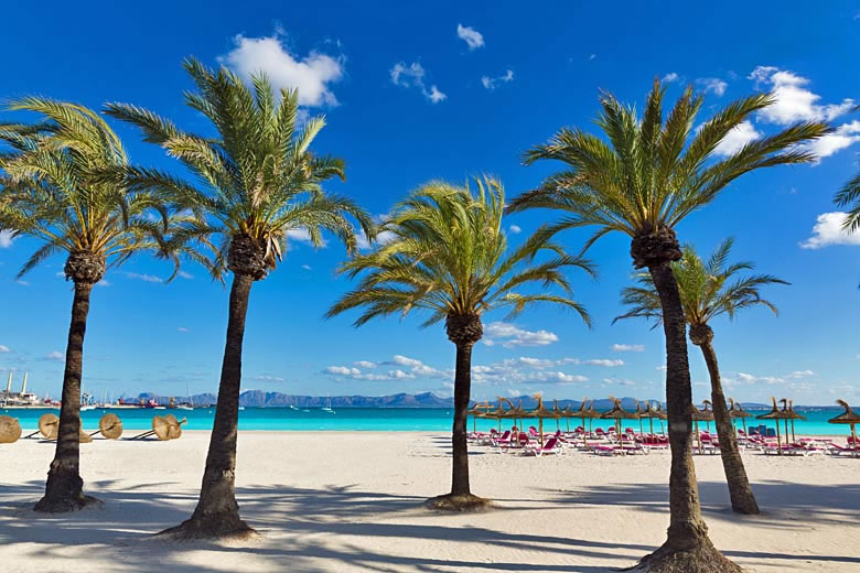 Alcudia Beach, the largest in Majorca