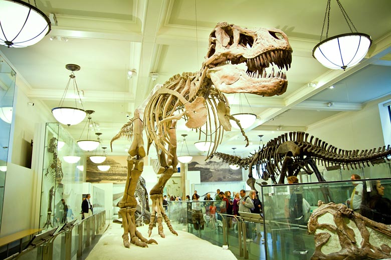 Museum of Natural History, Central Park, New York