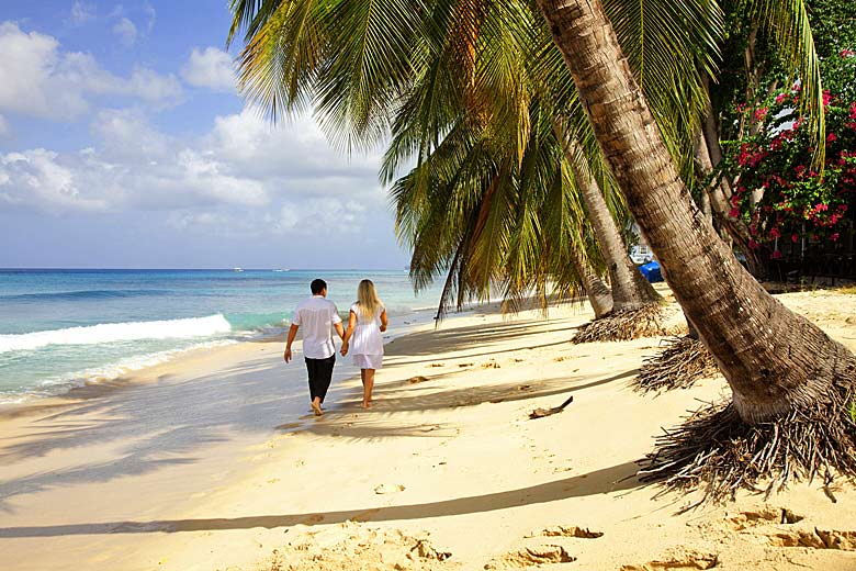 Stroll on the beach on the sheltered west coast, Barbados