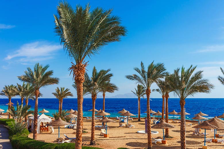 Find your dream resort on Egypt's Red Sea coast