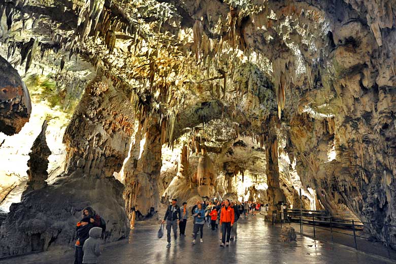 Canopy of stalactites in Postojna Cave, Slovenia
