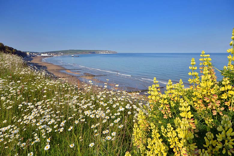 View from the cliff path looking towards Sandown