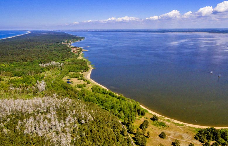 The curves of the Curonian Spit, Neringa
