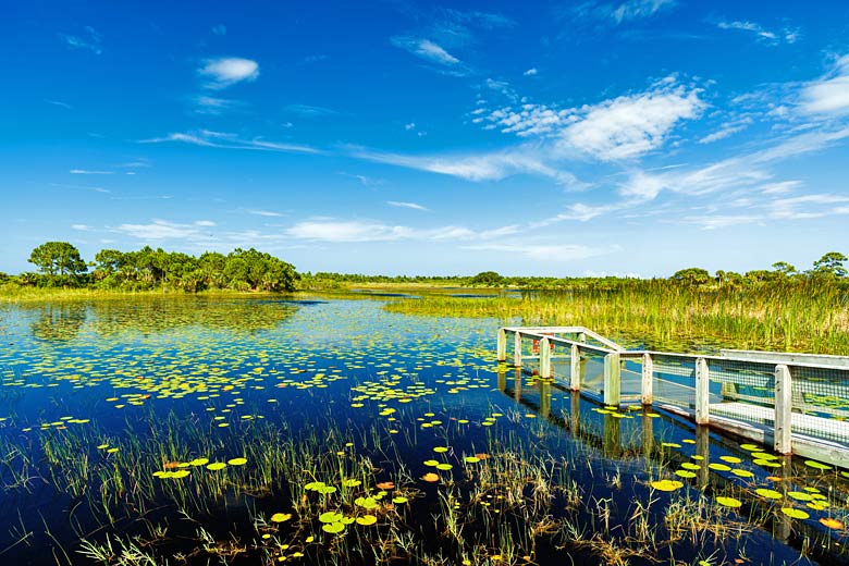 The Everglades National Park, Florida