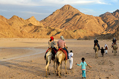 Excursions from Sharm el Sheikh