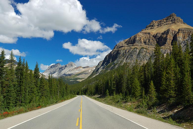 Heading north on the Icefields Parkway, Alberta