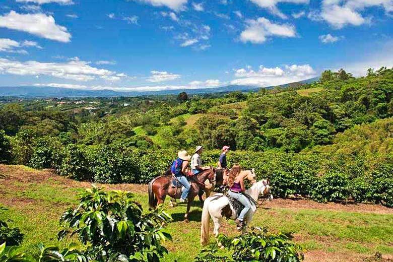 Horse-riding on a plantation 'coffee tour', Costa Rica