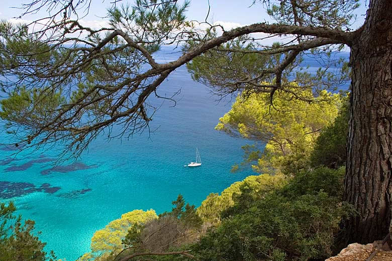Ibiza excursions for all