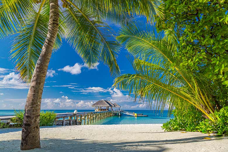 Idyllic resort island in the Maldives