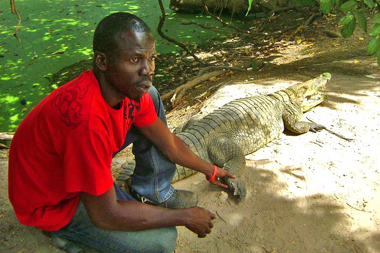Kachikally Crocodile Pool, Gambia