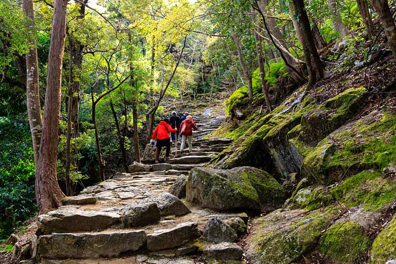 Section of the Kumano Kodo Trail leading to the Kamikura shrine