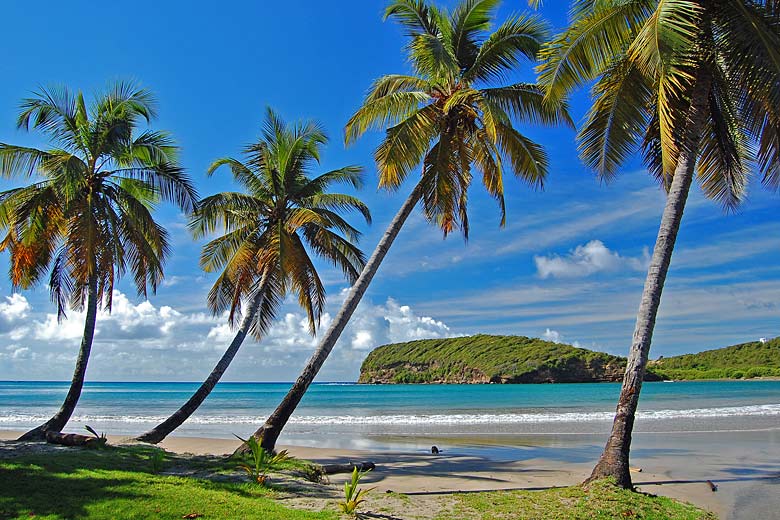 La Sagesse Beach on the island of Grenada