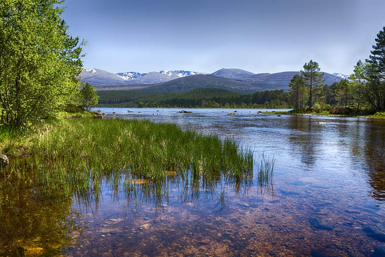 Loch Morlich with the Cairngorm mountains beyond
