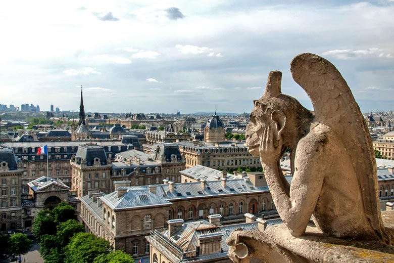 Notre Dame, Looking out over Paris