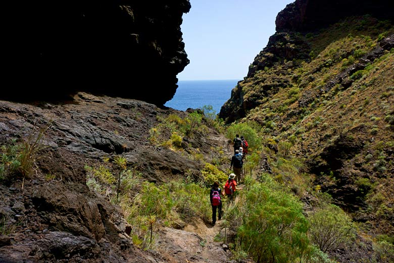 Final stage of the Masca Gorge hike, Tenerife