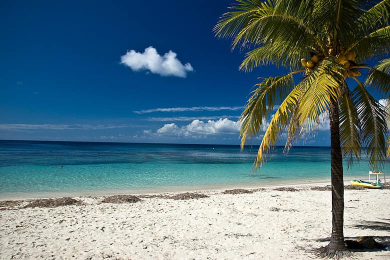 Palm-fringed beach on Roatán