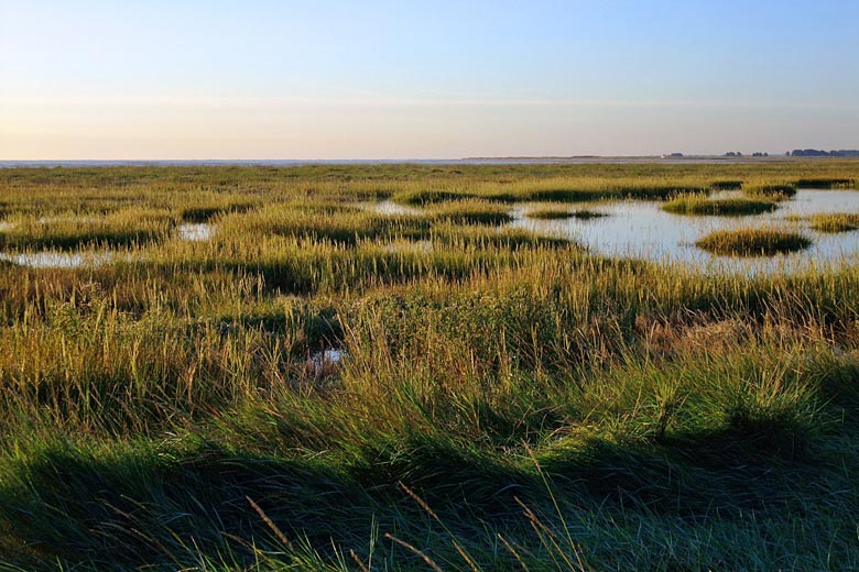Pegwell Bay Nature Reserve, Kent