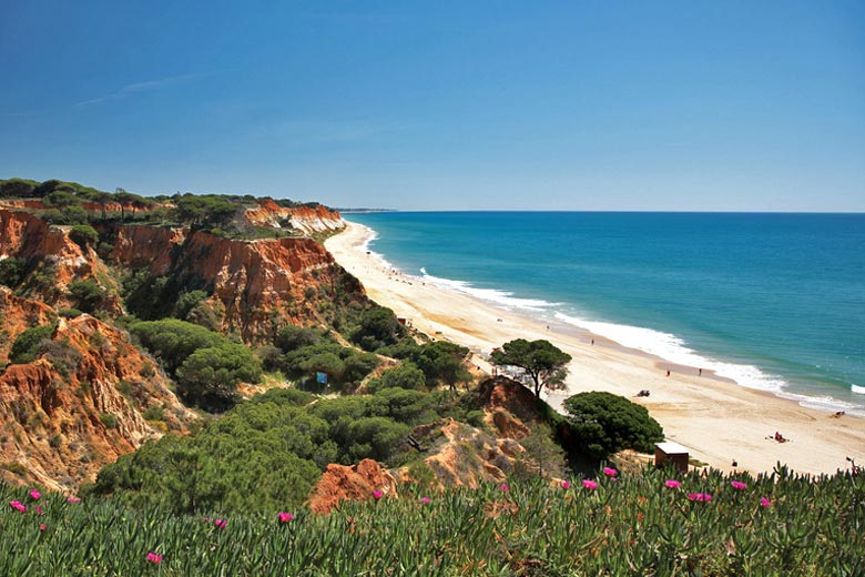 Praia da Falesia, Algarve