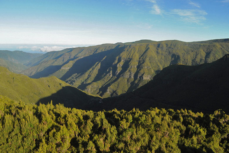 Rabacal Valley, Madeira