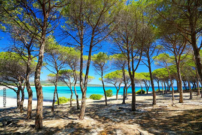 9 seriously tempting reasons to visit Sardinia