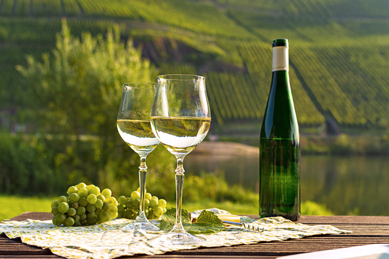 The Rhine Valley is a major wine-producing area