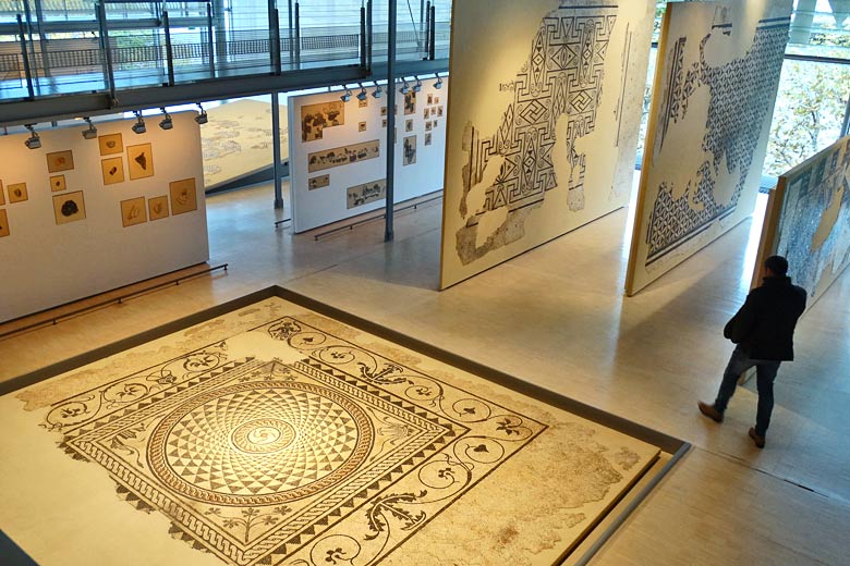 Ancient Roman mosaics at the Musée Gallo-Romain, Vienne