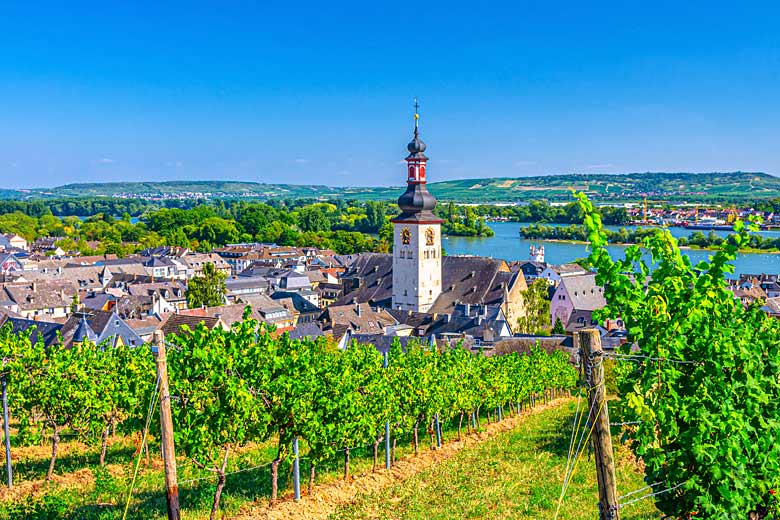 Vineyards on the outskirts of Rüdesheim