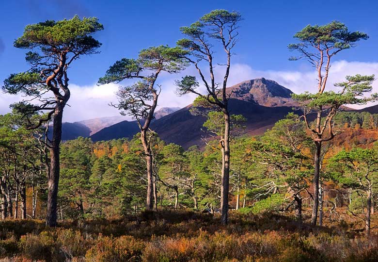A first-timer's guide to the Scottish Highlands