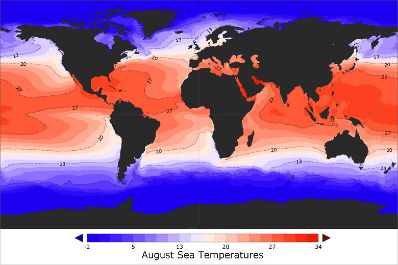 Sea temperature map showing sea surface temperature in August Sea temperature map showing sea surface temperature in August