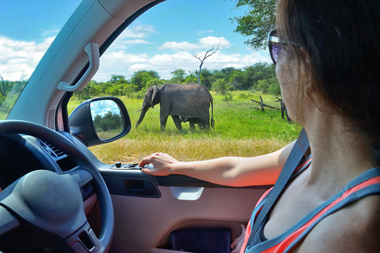 Self driving in Kruger National Park, South Africa