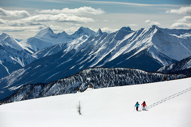 Snowshoe outing on Sunshine Meadows, Banff