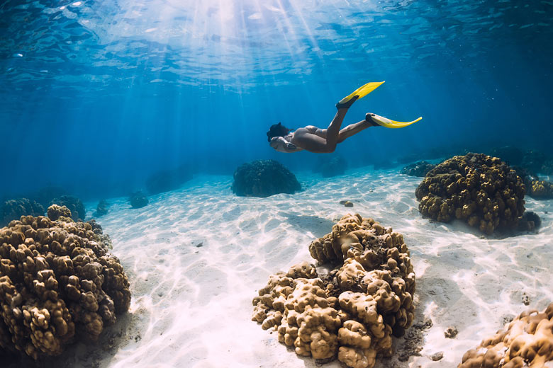 Snorkelling off the south coast of Mauritius