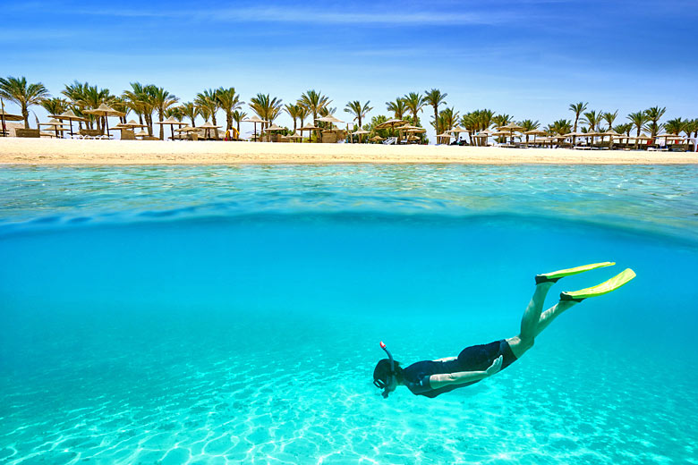 Snorkelling in the clear waters of Marsa Alam, Egypt