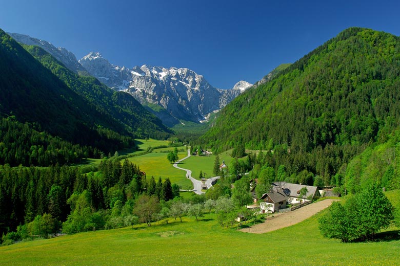 Spring in Slovenian alpine valley