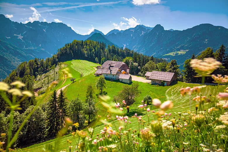 Summer in the Slovenian Alps