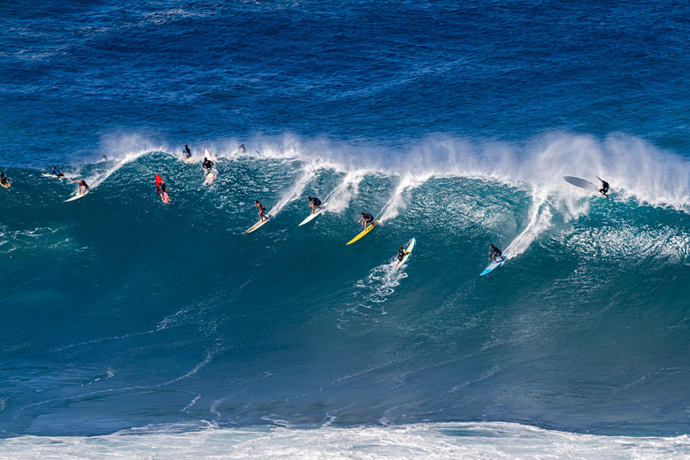 Surf's up: watch the pros at Waimea Bay