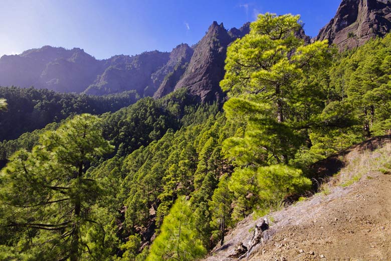 Inside Taburiente National Park, La Palma