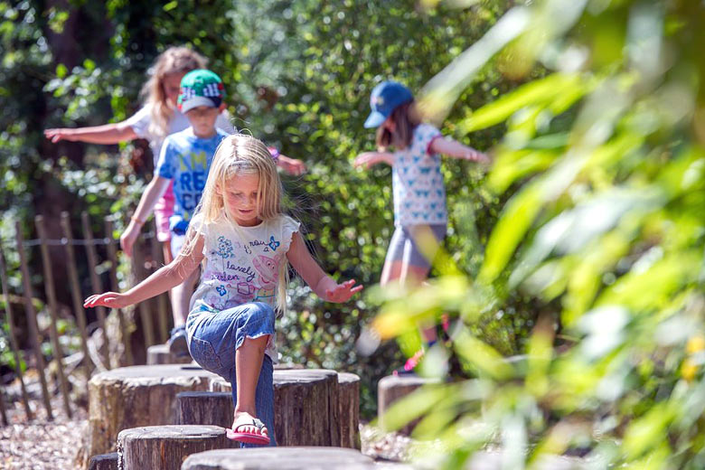 The 'Copse' play area at RHS Rosemoor