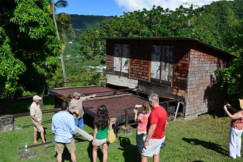 Tour of the Emerald Estate at Anse Chastanet, St Lucia