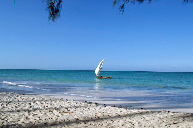 Tranquility on a beach in Zanzibar
