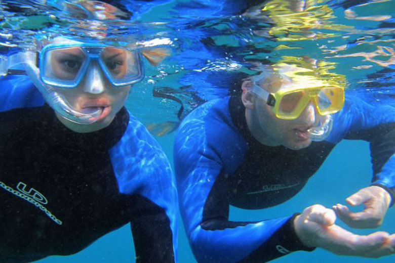 Snorkelling in Fuerteventura