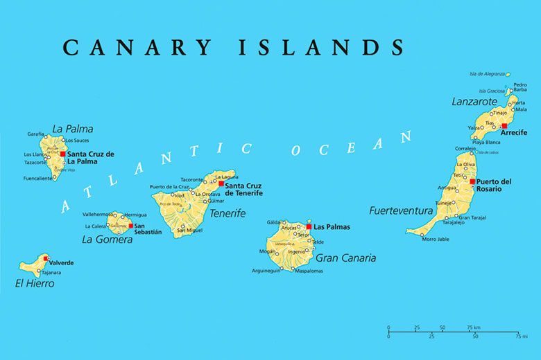 There are eight Canary islands to choose from