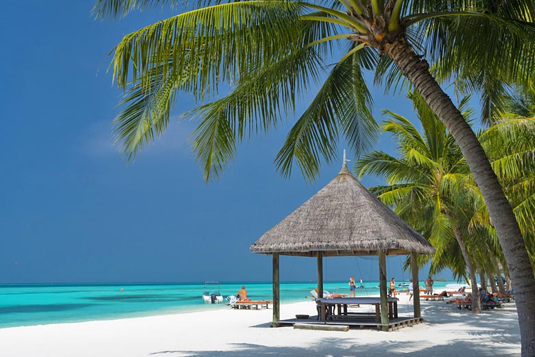 Find memorable experiences in the Maldives