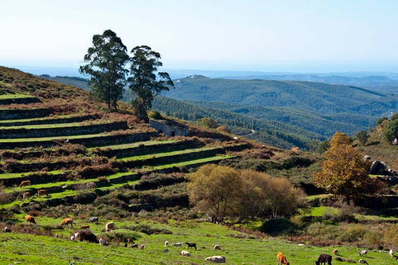 On the Algarve Way in Monchique © AEMTG - Flickr Creative Commons