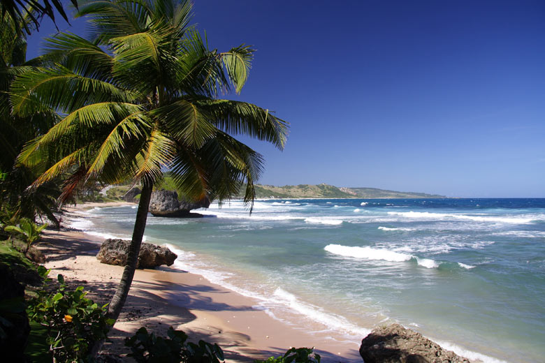 La côte est de la Barbade © Holger Wulschlaeger - Shutterstock "name =" La côte est de la Barbade © Holger Wulschlaeger - Shutterstock "/>
	
 
<figcaption>La côte est de la Barbade © Holger Wulschlaeger – Shutterstock</figcaption></figure>
<p><strong>Floride</strong> bénéficie également d'un beau temps en avril. <strong>Miami</strong> a normalement 10 heures de soleil par jour et des températures diurnes allant jusqu'à 20 degrés.</p>
<p>Le mois d'avril étant l'un des plus secs de l'année à Miami, vous ne verrez peut-être même pas une goutte de pluie. <strong>Orlando</strong> est aussi chaud pendant la journée mais plus frais la nuit et juste un peu moins ensoleillé – surtout, aucune destination n’est trop chaude.</p>
<p>Retour au sommet</p>
<p><a id=