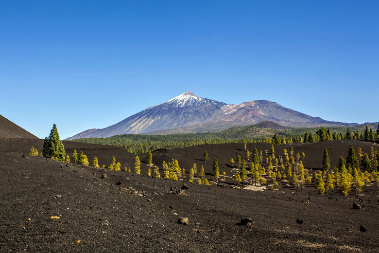 Teide National Park, Tenerife © Tommaso Lizzul - Fotolia.com