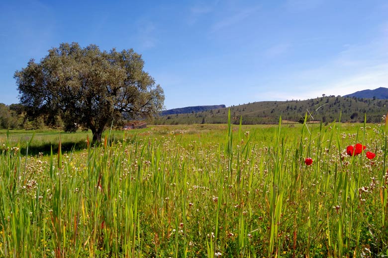 Météo en avril en Méditerranée © Marta P. (Milacroft) - Fotolia.com "name =" Météo en avril en Méditerranée © Marta P. (Milacroft) - Fotolia.com "/>
	
 
<figcaption>Météo en avril en Méditerranée © Marta P. (Milacroft) – Fotolia.com</figcaption></figure>
<p><a id=