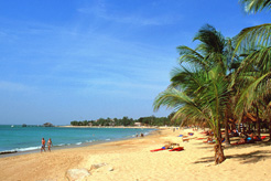 Why you need to visit sunny Senegal