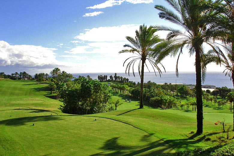 On the Abama Resort fairway